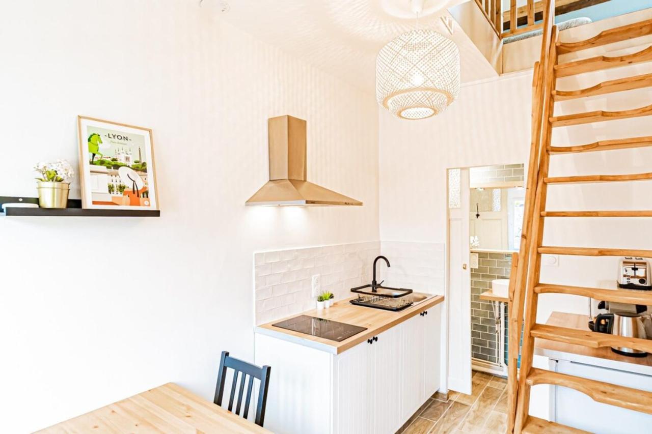 Duplex Poizat - Joli Appartement - 빌뢰르반 외부 사진